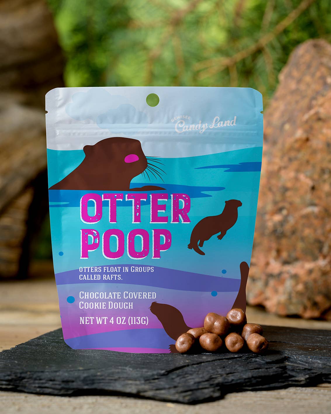 Otter Poop (chocolate covered cookie dough)